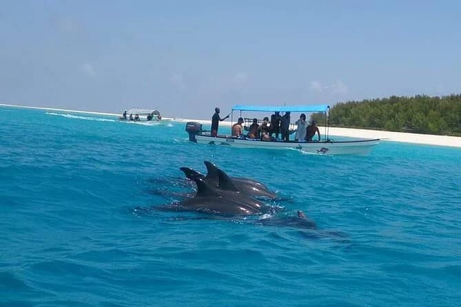 Mnemba Island Tour